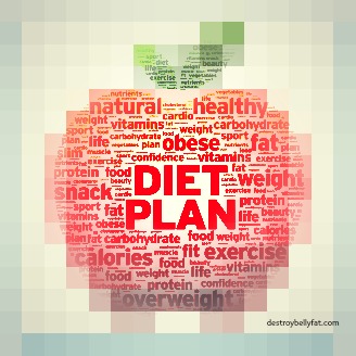 Diet-plan-apple-pic.jpg